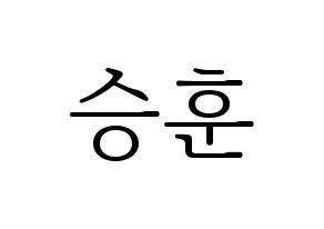 KPOP WINNER(위너、ウィナー) 이승훈 (イ・スンフン) 応援ボード・うちわ　韓国語/ハングル文字型紙 通常