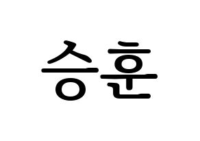 KPOP WINNER(위너、ウィナー) 이승훈 (イ・スンフン) プリント用応援ボード型紙、うちわ型紙　韓国語/ハングル文字型紙 通常