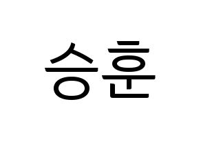 KPOP WINNER(위너、ウィナー) 이승훈 (イ・スンフン) コンサート用　応援ボード・うちわ　韓国語/ハングル文字型紙 通常