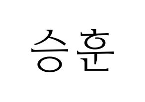 KPOP WINNER(위너、ウィナー) 이승훈 (イ・スンフン) 応援ボード・うちわ　韓国語/ハングル文字型紙 通常