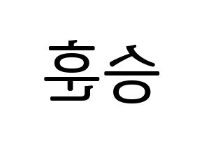 KPOP WINNER(위너、ウィナー) 이승훈 (イ・スンフン) プリント用応援ボード型紙、うちわ型紙　韓国語/ハングル文字型紙 左右反転