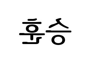 KPOP WINNER(위너、ウィナー) 이승훈 (イ・スンフン) プリント用応援ボード型紙、うちわ型紙　韓国語/ハングル文字型紙 左右反転
