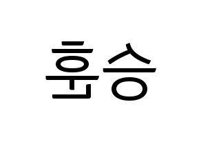 KPOP WINNER(위너、ウィナー) 이승훈 (イ・スンフン) コンサート用　応援ボード・うちわ　韓国語/ハングル文字型紙 左右反転