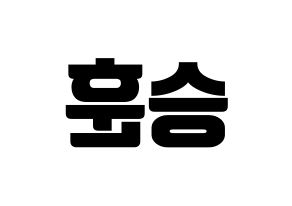 KPOP WINNER(위너、ウィナー) 이승훈 (イ・スンフン) コンサート用　応援ボード・うちわ　韓国語/ハングル文字型紙 左右反転