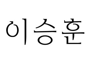 KPOP WINNER(위너、ウィナー) 이승훈 (イ・スンフン) 応援ボード・うちわ　韓国語/ハングル文字型紙 通常