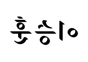 KPOP WINNER(위너、ウィナー) 이승훈 (イ・スンフン) 応援ボード ハングル 型紙  左右反転