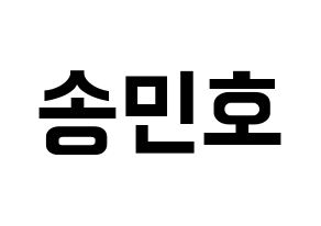KPOP WINNER(위너、ウィナー) 송민호 (ソン・ミンホ) k-pop アイドル名前 ファンサボード 型紙 通常