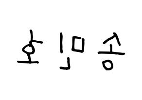 KPOP WINNER(위너、ウィナー) 송민호 (ソン・ミンホ) k-pop 応援ボード メッセージ 型紙 左右反転