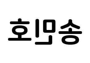 KPOP WINNER(위너、ウィナー) 송민호 (ソン・ミンホ, ソン・ミンホ) k-pop アイドル名前　ボード 言葉 左右反転