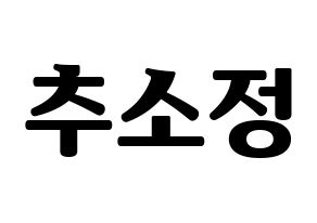 KPOP WJSN(우주소녀、宇宙少女) 엑시 (EXY) コンサート用　応援ボード・うちわ　韓国語/ハングル文字型紙 通常