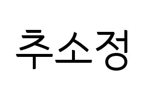 KPOP WJSN(우주소녀、宇宙少女) 엑시 (EXY) コンサート用　応援ボード・うちわ　韓国語/ハングル文字型紙 通常
