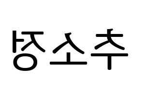 KPOP WJSN(우주소녀、宇宙少女) 엑시 (EXY) プリント用応援ボード型紙、うちわ型紙　韓国語/ハングル文字型紙 左右反転