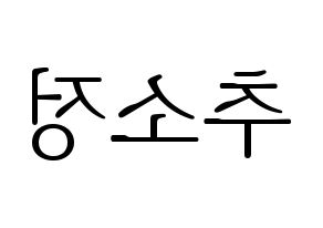 KPOP WJSN(우주소녀、宇宙少女) 엑시 (EXY) 応援ボード・うちわ　韓国語/ハングル文字型紙 左右反転