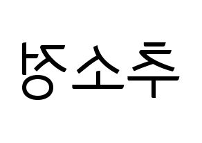 KPOP WJSN(우주소녀、宇宙少女) 엑시 (EXY) コンサート用　応援ボード・うちわ　韓国語/ハングル文字型紙 左右反転