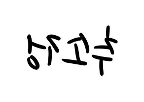 KPOP WJSN(우주소녀、宇宙少女) 엑시 (EXY) 応援ボード ハングル 型紙  左右反転