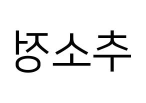 KPOP WJSN(우주소녀、宇宙少女) 엑시 (EXY) プリント用応援ボード型紙、うちわ型紙　韓国語/ハングル文字型紙 左右反転