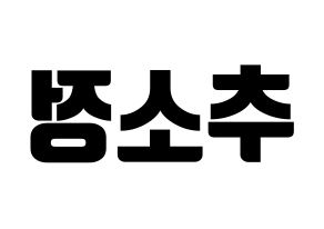 KPOP WJSN(우주소녀、宇宙少女) 엑시 (EXY) コンサート用　応援ボード・うちわ　韓国語/ハングル文字型紙 左右反転