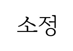 KPOP WJSN(우주소녀、宇宙少女) 엑시 (EXY) 応援ボード・うちわ　韓国語/ハングル文字型紙 通常