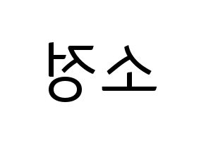 KPOP WJSN(우주소녀、宇宙少女) 엑시 (EXY) コンサート用　応援ボード・うちわ　韓国語/ハングル文字型紙 左右反転