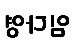 KPOP WJSN(우주소녀、宇宙少女) 다영 (ダヨン) 応援ボード・うちわ　韓国語/ハングル文字型紙 左右反転