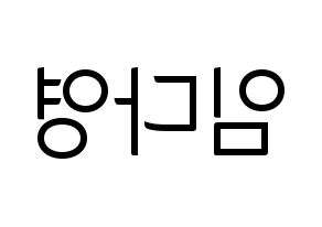 KPOP WJSN(우주소녀、宇宙少女) 다영 (ダヨン) コンサート用　応援ボード・うちわ　韓国語/ハングル文字型紙 左右反転