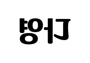 KPOP WJSN(우주소녀、宇宙少女) 다영 (ダヨン) コンサート用　応援ボード・うちわ　韓国語/ハングル文字型紙 左右反転