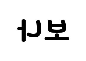KPOP WJSN(우주소녀、宇宙少女) 보나 (ボナ) 応援ボード・うちわ　韓国語/ハングル文字型紙 左右反転