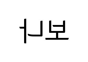 KPOP WJSN(우주소녀、宇宙少女) 보나 (ボナ) コンサート用　応援ボード・うちわ　韓国語/ハングル文字型紙 左右反転