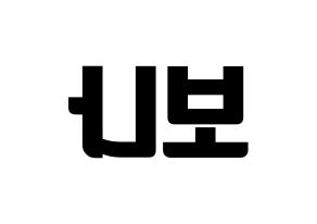 KPOP WJSN(우주소녀、宇宙少女) 보나 (ボナ) コンサート用　応援ボード・うちわ　韓国語/ハングル文字型紙 左右反転