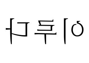 KPOP WJSN(우주소녀、宇宙少女) 루다 (ルダ) 応援ボード・うちわ　韓国語/ハングル文字型紙 左右反転