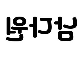 KPOP WJSN(우주소녀、宇宙少女) 다원 (ダウォン) 応援ボード・うちわ　韓国語/ハングル文字型紙 左右反転
