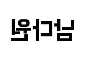 KPOP WJSN(우주소녀、宇宙少女) 다원 (ダウォン) k-pop アイドル名前 ファンサボード 型紙 左右反転