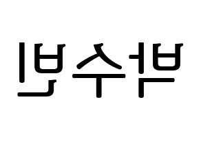 KPOP WJSN(우주소녀、宇宙少女) 수빈 (スビン) プリント用応援ボード型紙、うちわ型紙　韓国語/ハングル文字型紙 左右反転