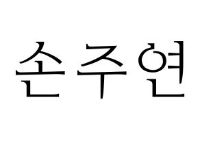 KPOP WJSN(우주소녀、宇宙少女) 은서 (ウンソ) 応援ボード・うちわ　韓国語/ハングル文字型紙 通常