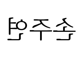 KPOP WJSN(우주소녀、宇宙少女) 은서 (ウンソ) 応援ボード・うちわ　韓国語/ハングル文字型紙 左右反転