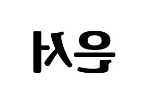 KPOP WJSN(우주소녀、宇宙少女) 은서 (ウンソ) コンサート用　応援ボード・うちわ　韓国語/ハングル文字型紙 左右反転