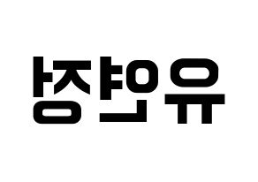 KPOP WJSN(우주소녀、宇宙少女) 연정 (ヨンジョン) k-pop アイドル名前 ファンサボード 型紙 左右反転