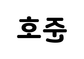 KPOP X1(엑스원、エックスワン) 차준호 (チャ・ジュノ) 応援ボード・うちわ　韓国語/ハングル文字型紙 左右反転