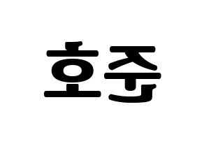 KPOP X1(엑스원、エックスワン) 차준호 (チャ・ジュノ) コンサート用　応援ボード・うちわ　韓国語/ハングル文字型紙 左右反転