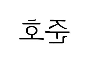 KPOP X1(엑스원、エックスワン) 차준호 (チャ・ジュノ) 応援ボード・うちわ　韓国語/ハングル文字型紙 左右反転