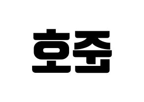 KPOP X1(엑스원、エックスワン) 차준호 (チャ・ジュノ) コンサート用　応援ボード・うちわ　韓国語/ハングル文字型紙 左右反転