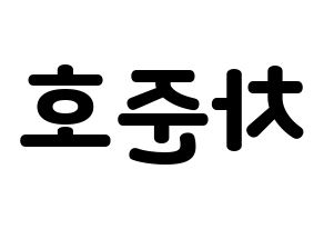 KPOP X1(엑스원、エックスワン) 차준호 (チャ・ジュノ) 応援ボード・うちわ　韓国語/ハングル文字型紙 左右反転