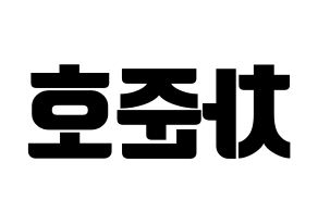 KPOP X1(엑스원、エックスワン) 차준호 (チャ・ジュノ) コンサート用　応援ボード・うちわ　韓国語/ハングル文字型紙 左右反転