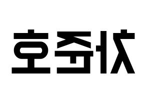 KPOP X1(엑스원、エックスワン) 차준호 (チャ・ジュノ) 名前 応援ボード 作り方 左右反転