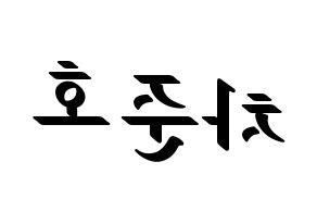 KPOP X1(엑스원、エックスワン) 차준호 (チャ・ジュノ) 応援ボード ハングル 型紙  左右反転