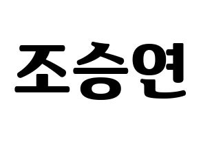 KPOP X1(엑스원、エックスワン) 조승연 (チョ・スンヨン) コンサート用　応援ボード・うちわ　韓国語/ハングル文字型紙 通常