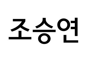 KPOP X1(엑스원、エックスワン) 조승연 (チョ・スンヨン, チョ・スンヨン) 無料サイン会用、イベント会用応援ボード型紙 通常