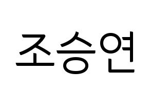 KPOP X1(엑스원、エックスワン) 조승연 (チョ・スンヨン) コンサート用　応援ボード・うちわ　韓国語/ハングル文字型紙 通常