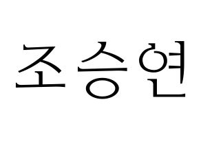 KPOP X1(엑스원、エックスワン) 조승연 (チョ・スンヨン) 応援ボード・うちわ　韓国語/ハングル文字型紙 通常
