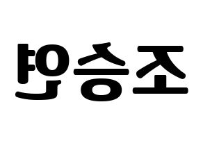 KPOP X1(엑스원、エックスワン) 조승연 (チョ・スンヨン) コンサート用　応援ボード・うちわ　韓国語/ハングル文字型紙 左右反転